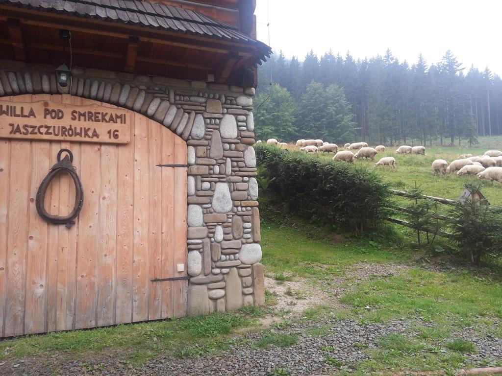 Wynajem Pokoi-Willa Pod Smrekami Zakopane Bagian luar foto
