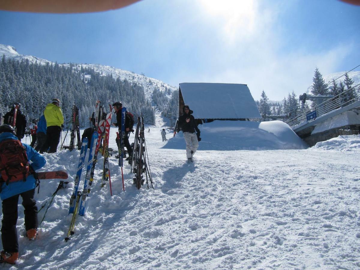 Wynajem Pokoi-Willa Pod Smrekami Zakopane Bagian luar foto